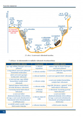 Vezetési ismeretek - 3.